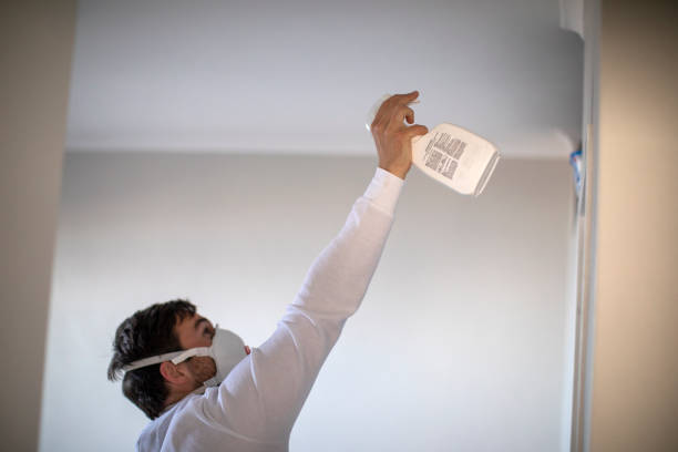 Best Commercial Mold Removal  in Gravette, AR